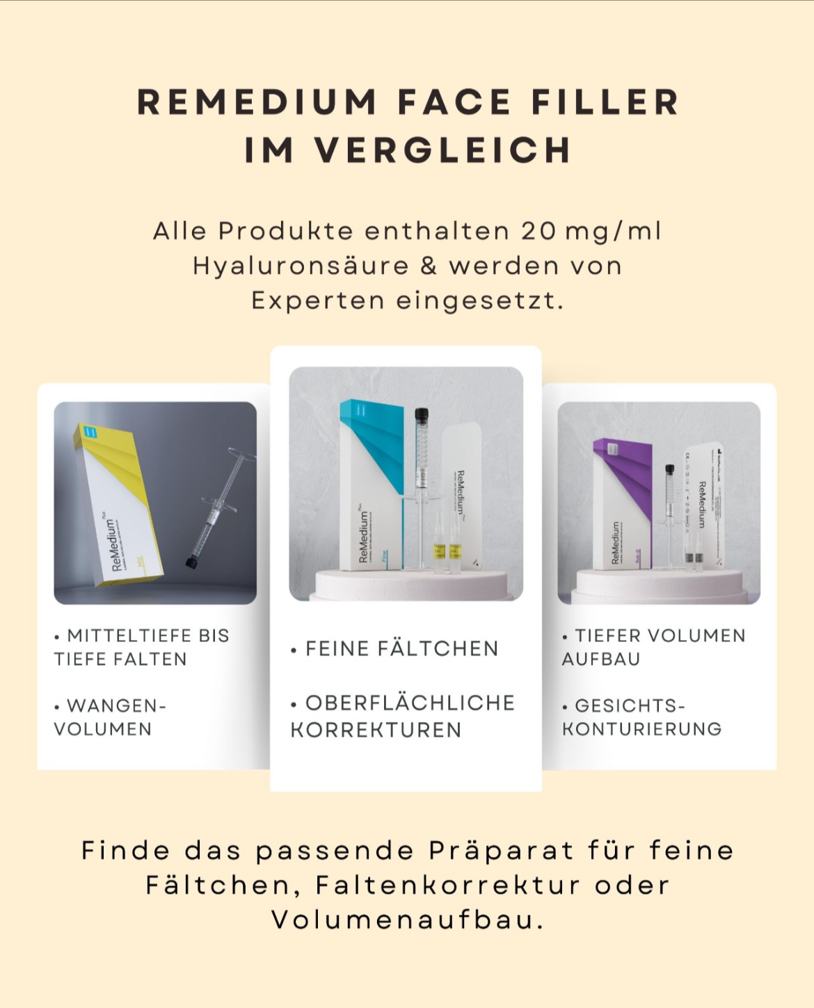 Produktschulung und Präsentation Remedium